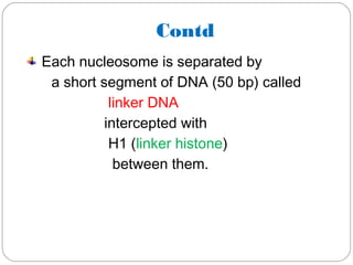 Contd
Each nucleosome is separated by
a short segment of DNA (50 bp) called
linker DNA
intercepted with
H1 (linker histone)
between them.
 