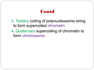 Contd
3. Tertiary coiling of polynucleosome string
to form supercoiled chromatin
4. Quaternary supercoiling of chromatin to
form chromosome
 