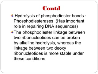 Contd
Hydrolysis of phosphodiester bonds :
Phosphodiesterases  (Has important
role in repairing DNA sequences)
The phosphodiester linkage between
two ribonucleotides can be broken
by alkaline hydrolysis, whereas the
linkage between two deoxy
ribonucleotides is more stable under
these conditions
 