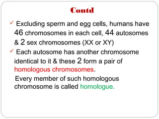 Contd
 Excluding sperm and egg cells, humans have
46 chromosomes in each cell, 44 autosomes
& 2 sex chromosomes (XX or XY)
 Each autosome has another chromosome
identical to it & these 2 form a pair of
homologous chromosomes.
Every member of such homologous
chromosome is called homologue.
 