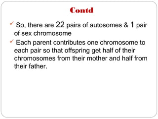 Contd
 So, there are 22 pairs of autosomes & 1 pair
of sex chromosome
 Each parent contributes one chromosome to
each pair so that offspring get half of their
chromosomes from their mother and half from
their father.
 