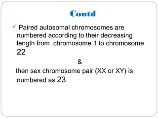 Contd
 Paired autosomal chromosomes are
numbered according to their decreasing
length from chromosome 1 to chromosome
22
&
then sex chromosome pair (XX or XY) is
numbered as 23
 