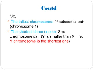 Contd
So,
 The tallest chromosome: 1st
autosomal pair
(chromosome 1)
 The shortest chromosome: Sex
chromosome pair (Y is smaller than X . i.e.
Y chromosome is the shortest one)
 