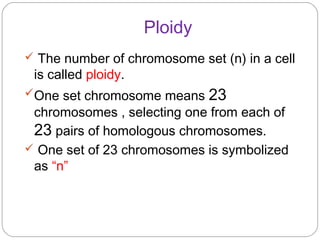 Ploidy
 The number of chromosome set (n) in a cell
is called ploidy.
One set chromosome means 23
chromosomes , selecting one from each of
23 pairs of homologous chromosomes.
 One set of 23 chromosomes is symbolized
as “n”
 