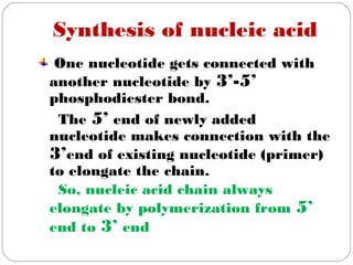 Synthesis of nucleic acid
One nucleotide gets connected with
another nucleotide by 3’-5’
phosphodiester bond.
The 5’ end of newly added
nucleotide makes connection with the
3’end of existing nucleotide (primer)
to elongate the chain.
So, nucleic acid chain always
elongate by polymerization from 5’
end to 3’ end
 