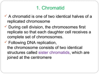 1. Chromatid
 A chromatid is one of two identical halves of a
replicated chromosome
 During cell division, the chromosomes first
replicate so that each daughter cell receives a
complete set of chromosomes.
 Following DNA replication,
the chromosome consists of two identical
structures called sister chromatids, which are
joined at the centromere
 