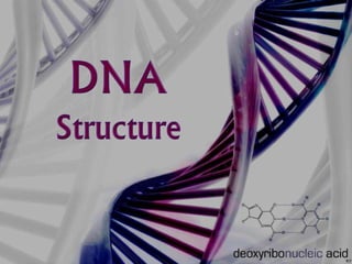 DNA-Structure PPT.ppt
