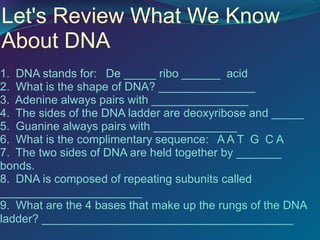 Let's Review What We Know
About DNA
1. DNA stands for: De _____ ribo ______ acid
2. What is the shape of DNA? _______________
3. Adenine always pairs with _______________
4. The sides of the DNA ladder are deoxyribose and _____
5. Guanine always pairs with _____________
6. What is the complimentary sequence: A A T G C A
7. The two sides of DNA are held together by _______
bonds.
8. DNA is composed of repeating subunits called
______________________
9. What are the 4 bases that make up the rungs of the DNA
ladder? _______________________________________
 