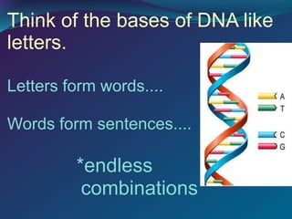 Let's Review What We Know
About DNA
1. DNA stands for: De _____ ribo ______ acid
2. What is the shape of DNA? ____________...