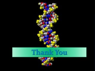 DNA structure and its basic functions .ppt