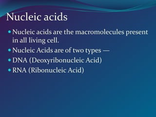 Nucleic acids
 Nucleic acids are the macromolecules present
in all living cell.
 Nucleic Acids are of two types —
 DNA (Deoxyribonucleic Acid)
 RNA (Ribonucleic Acid)
 