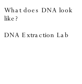 DNA Study Guide | PPT
