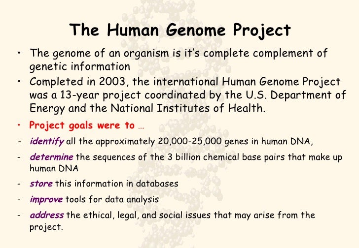 human genome project saw completion after ten long years As genotyping technologies have precipitously decreased in cost since the completion of the human genome project, personal genetic. human genome project saw completion after ten long years As genotyping technologies have precipitously decreased in cost since the completion of the human genome project, personal genetic.