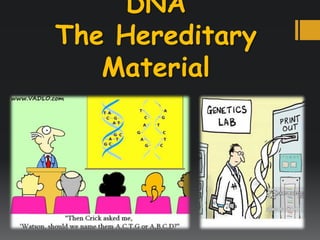 DNA
The Hereditary
Material
 