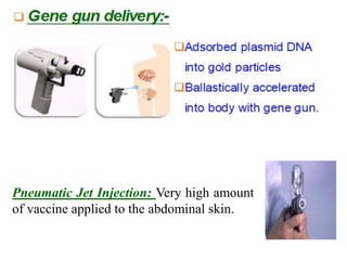 Pneumatic Jet Injection: Very high amount
of vaccine applied to the abdominal skin.
 