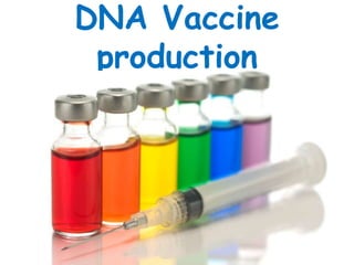 DNA Vaccine
production
 