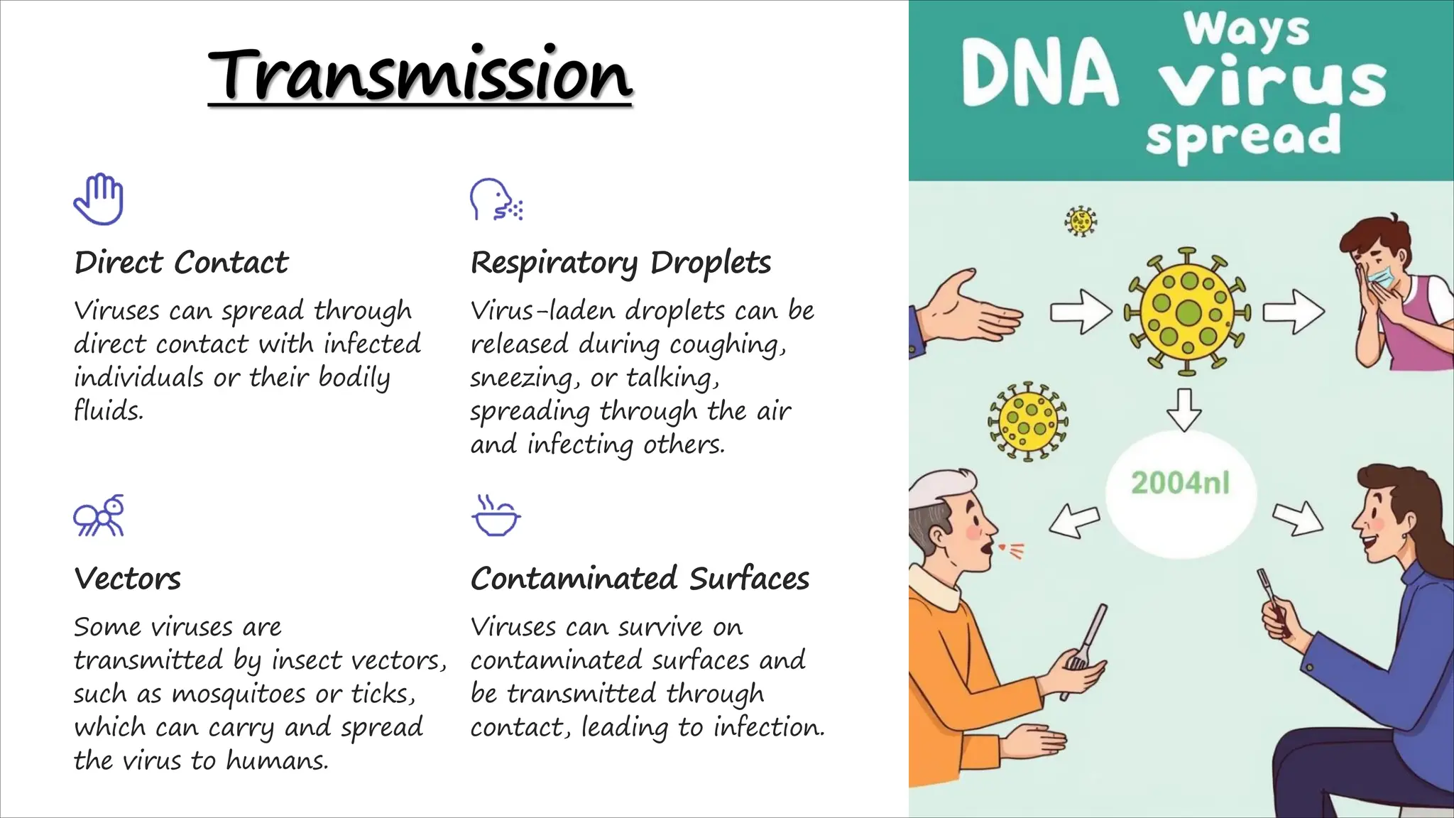 Dna Viruses A Comprehensive Overview 2 Pdf