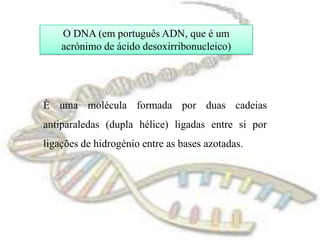 O DNA (em português ADN, que é um acrónimo de ácido desoxirribonucleico)È uma molécula formada por duas cadeias antiparaledas (dupla hélice) ligadas entre si por ligações de hidrogénio entre as bases azotadas.
