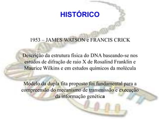 HISTÓRICO1953 – JAMES WATSON e FRANCIS CRICKDescrição da estrutura física do DNA baseando-se nos estudos de difração de raio X de Rosalind Franklin e Maurice Wilkins e em estudos químicos da moléculaModelo da dupla fita proposto foi fundamental para a compreensão do mecanismo de transmissão e execução da informação genética
