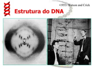 1953: Watson and CrickEstrutura do DNA