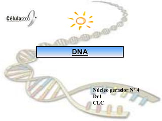 DNA,[object Object],Núcleo gerador Nº 4,[object Object],Dr1,[object Object],CLC,[object Object]