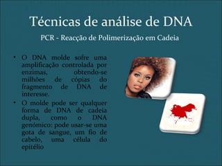 • O DNA molde sofre uma
amplificação controlada por
enzimas, obtendo-se
milhões de cópias do
fragmento de DNA de
interesse.
• O molde pode ser qualquer
forma de DNA de cadeia
dupla, como o DNA
genómico: pode usar-se uma
gota de sangue, um fio de
cabelo, uma célula do
epitélio
Técnicas de análise de DNA
PCR - Reacção de Polimerização em Cadeia
 