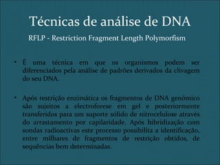 RFLP - Restriction Fragment Length Polymorfism
• É uma técnica em que os organismos podem ser
diferenciados pela análise de padrões derivados da clivagem
do seu DNA.
• Após restrição enzimática os fragmentos de DNA genómico
são sujeitos a electroforese em gel e posteriormente
transferidos para um suporte sólido de nitrocelulose através
do arrastamento por capilaridade. Após hibridização com
sondas radioactivas este processo possibilita a identificação,
entre milhares de fragmentos de restrição obtidos, de
sequências bem determinadas.
Técnicas de análise de DNA
 
