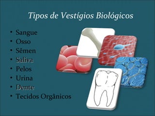 Tipos de Vestígios Biológicos
• Sangue
• Osso
• Sêmen
• SalivaSaliva
• Pelos
• Urina
• DenteDente
• Tecidos Orgânicos
 