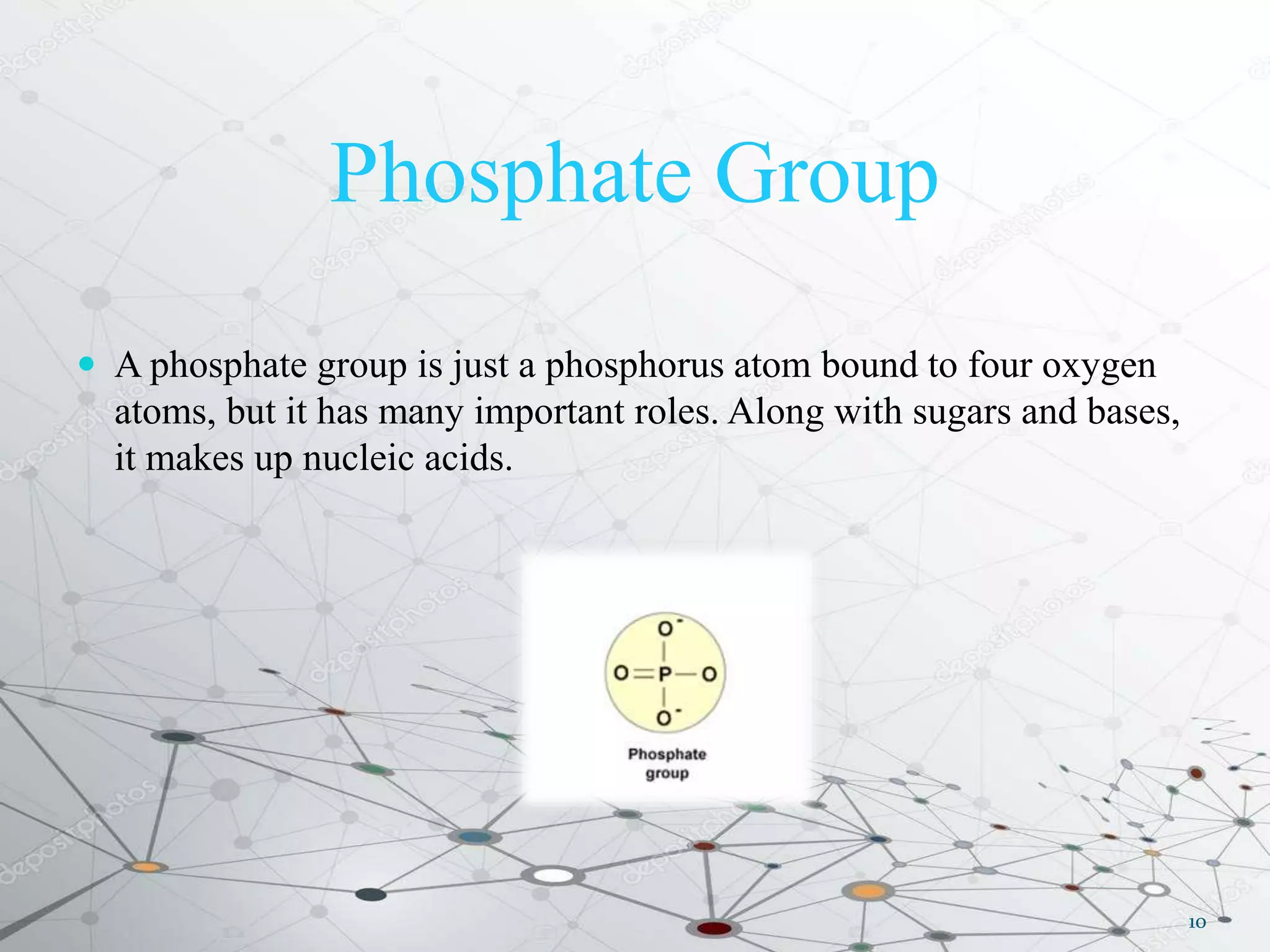 Phosphate Group
 A phosphate group is just a phosphorus atom bound to four oxygen
atoms, but it has many important roles. Along with sugars and bases,
it makes up nucleic acids.
10
 