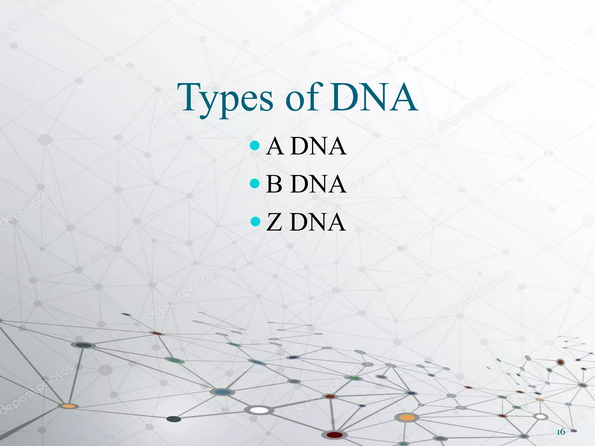 Types of DNA
 A DNA
 B DNA
 Z DNA
16
 