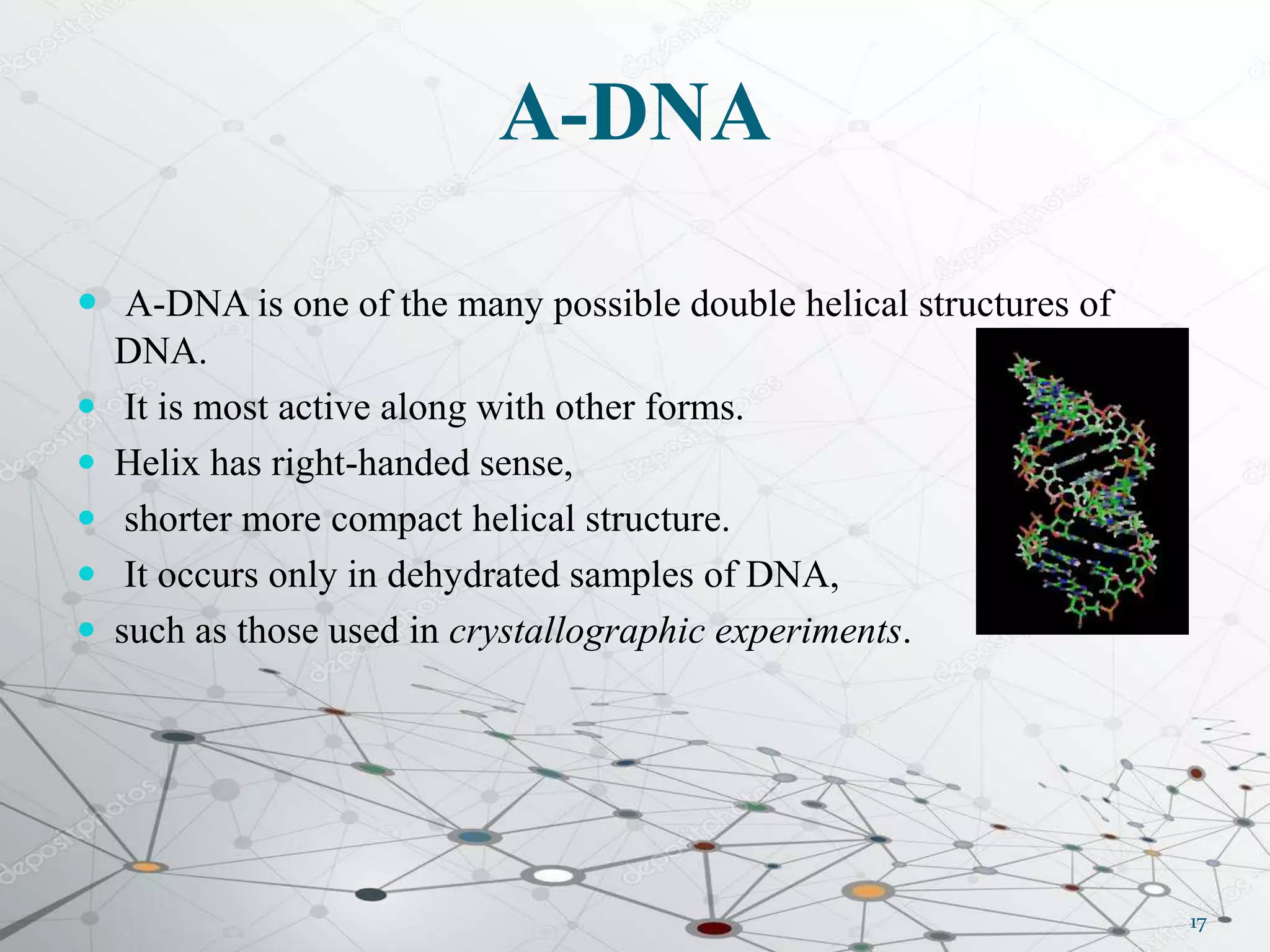 A-DNA
 A-DNA is one of the many possible double helical structures of
DNA.
 It is most active along with other forms.
 Helix has right-handed sense,
 shorter more compact helical structure.
 It occurs only in dehydrated samples of DNA,
 such as those used in crystallographic experiments.
17
 
