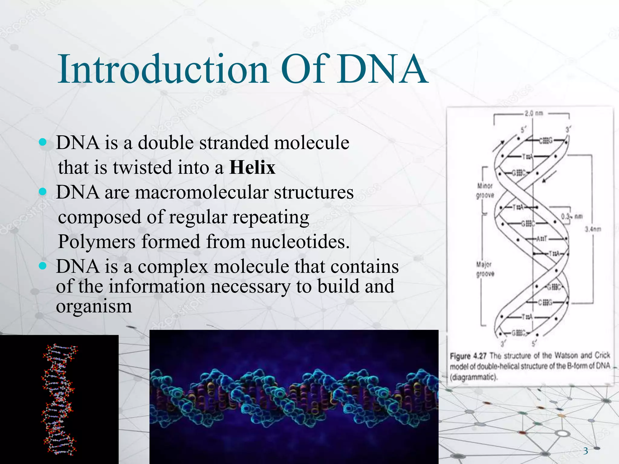 DNA structure and types | PPT