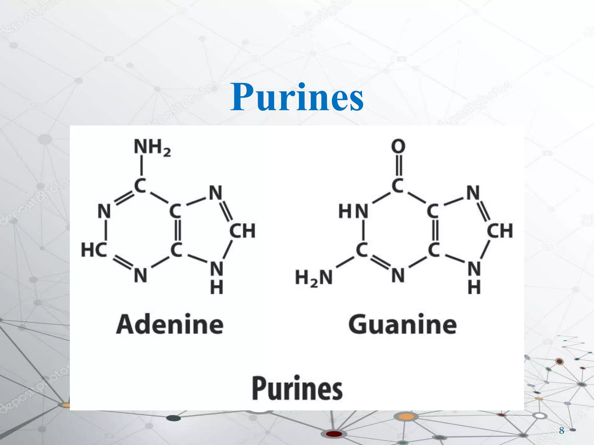 Purines
8
 