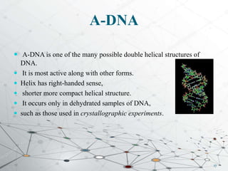 DNA structure and types | PPTX
