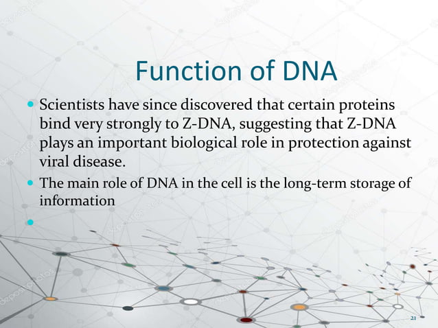 DNA structure and types | PPTX | Chemistry | Science