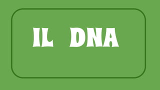 IL DNA
 