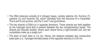 • The DNA molecule consists of 4 nitrogen bases, namely adenine (A), thymine (T),
cytosine (C) and Guanine (G), which ultimately form the structure of a nucleotide.
The A and G are purines, and the C and T are pyrimidines.
• The two strands of DNA run in opposite directions. These strands are held together
by the hydrogen bond that is present between the two complementary bases. The
strands are helically twisted, where each strand forms a right-handed coil, and ten
nucleotides make up a single turn.
• The pitch of each helix is 3.4 nm. Hence, the distance between two consecutive
base pairs (i.e., hydrogen-bonded bases of the opposite strands) is 0.34 nm.
 