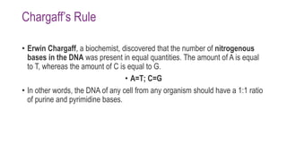Chargaff’s Rule
• Erwin Chargaff, a biochemist, discovered that the number of nitrogenous
bases in the DNA was present in equal quantities. The amount of A is equal
to T, whereas the amount of C is equal to G.
• A=T; C=G
• In other words, the DNA of any cell from any organism should have a 1:1 ratio
of purine and pyrimidine bases.
 