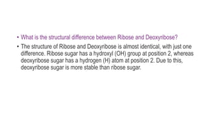 • What is the structural difference between Ribose and Deoxyribose?
• The structure of Ribose and Deoxyribose is almost identical, with just one
difference. Ribose sugar has a hydroxyl (OH) group at position 2, whereas
deoxyribose sugar has a hydrogen (H) atom at position 2. Due to this,
deoxyribose sugar is more stable than ribose sugar.
 