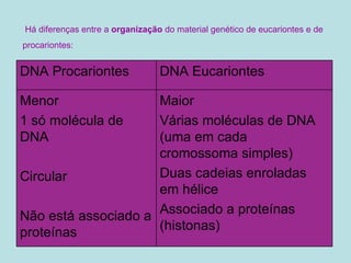 Há diferenças entre a  organização  do material genético de eucariontes e de procariontes: DNA Procariontes DNA Eucariontes Menor 1 só molécula de DNA Circular Não está associado a proteínas Maior Várias moléculas de DNA (uma em cada cromossoma simples) Duas cadeias enroladas em hélice Associado a proteínas (histonas) 