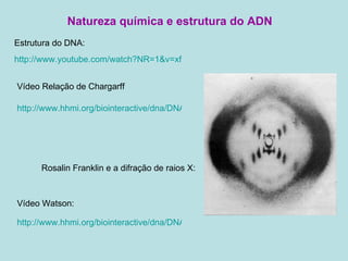 Natureza química e estrutura do ADN http://www.youtube.com/watch?NR=1&v=xfGN7IqCQC8 Estrutura do DNA:  http://www.hhmi.org/biointeractive/dna/DNAi_watson_basepairing_video.html Vídeo Watson: http://www.hhmi.org/biointeractive/dna/DNAi_chargaff_ratio.html Vídeo Relação de Chargarff Rosalin Franklin e a difração de raios X: 