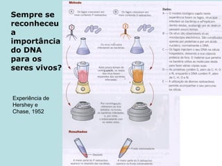 Sempre se reconheceu a importância do DNA para os seres vivos? Experiência de Hershey e Chase, 1952 
