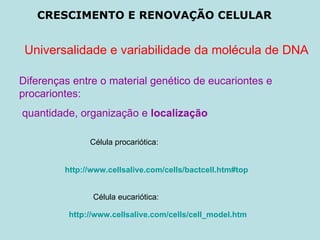 CRESCIMENTO E RENOVAÇÃO CELULAR Universalidade e variabilidade da molécula de DNA Diferenças entre o material genético de eucariontes e  procariontes: quantidade, organização e  localização http://www.cellsalive.com/cells/bactcell.htm#top http://www.cellsalive.com/cells/cell_model.htm Célula procariótica: Célula eucariótica: 