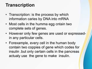 Transcription
• Transcription: is the process by which
information caries by DNA into mRNA
• Most cells in the humma egg cntain two
complete sets of genes.
• However only few genes are used or expressed-
in any particular cells.
• Forexample, every cell in the human body
contain two coppies of gene which codes for
insulin .but only certain cells in the pancreas
actualy use the gene to make insulin.
 