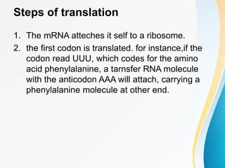 Steps of translation
1. The mRNA atteches it self to a ribosome.
2. the first codon is translated. for instance,if the
codon read UUU, which codes for the amino
acid phenylalanine, a tarnsfer RNA molecule
with the anticodon AAA will attach, carrying a
phenylalanine molecule at other end.
 