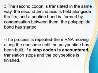 3.The second codon is translated in the same
way. the second amino acid is held alongside
the firs, and a peptide bond is formed by
condensation between them. the polypeptide
bond has started.
-The process is repeated-the mRNA moving
along the ribosome until the polypeptide has
been built. If a stop codon is encountered,
translation stops and the polypeptide is
finished.
 