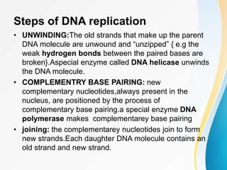 Steps of DNA replication
• UNWINDING:The old strands that make up the parent
DNA molecule are unwound and “unzipped” { e.g the
weak hydrogen bonds between the paired bases are
broken}.Aspecial enzyme called DNA helicase unwinds
the DNA molecule.
• COMPLEMENTRY BASE PAIRING: new
complementary nucleotides,always present in the
nucleus, are positioned by the process of
complementary base pairing.a special enzyme DNA
polymerase makes complementarey base pairing
• joining: the complementarey nucleotides join to form
new strands.Each daughter DNA molecule contains an
old strand and new strand.
 