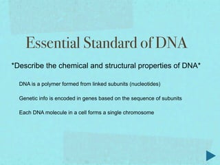 Essential Standard of DNA
*Describe the chemical and structural properties of DNA*

  DNA is a polymer formed from linked subunits (nucleotides)

  Genetic info is encoded in genes based on the sequence of subunits

  Each DNA molecule in a cell forms a single chromosome
 