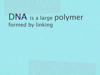 DNA    is a large polymer
formed by linking
 