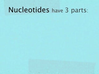 Nucleotides have 3 parts:
 